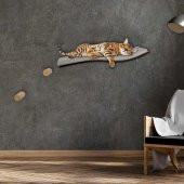 Wodoti "S" Kedi Duvar Tipi Yatak - 3