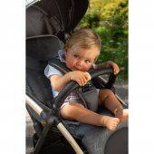 Chicco Goody Plus Bebek Arabası - 4