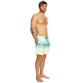 Quiksilver EQYJV04005 Wordblock 17 M Jamv Erkek Şort Mayo - 5