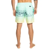 Quiksilver EQYJV04005 Wordblock 17 M Jamv Erkek Şort Mayo - 6