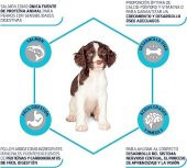 Advance Puppy Sensitive Somonlu Hassas Yavru Köpek Maması 12 KG thumbnail 4