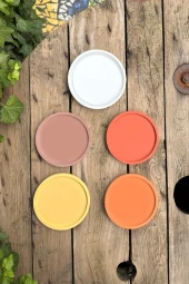 Dairesel Şekilli Tepsi Kalıbı (110mm çap x10mm kalınlık) (Silikon) ( 1 Adet ) thumbnail 1