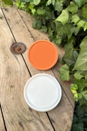 Dairesel Şekilli Tepsi Kalıbı (110mm çap x10mm kalınlık) (Silikon) ( 1 Adet ) thumbnail 2