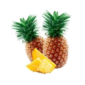Saksıda Ananas Meyvesi Fidanı (Smooth Cayenne Cinsi) - 1