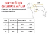Köpek Can Yeleği, Köpekler için Reflektörlü Yüzme Yardımcısı - 4