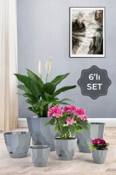 Lillium Saksı 6lı Set Gri - 1