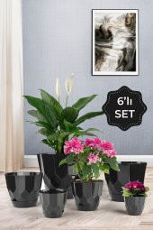 Lillium Saksı 6lı Set Siyah - 1