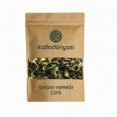 Isırgan Yaprağı Cons 100 Gr - 1