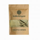 Okaliptus Yaprağı 1 Kg - 1