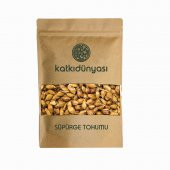 Süpürge Tohumu 250 Gr - 1