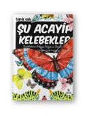 Şu Acayip Kelebekler - 1