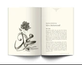 İslam Medeniyetinin Osmanlı Yorumu - 3