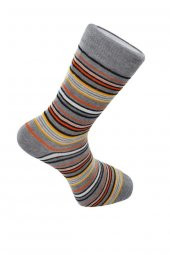 Dode Flora Erkek Pamuk Dikişsiz İnce Çizgili Renkli Konforlu Rahat Özel Seri 3'lü Soket Çorap thumbnail 5