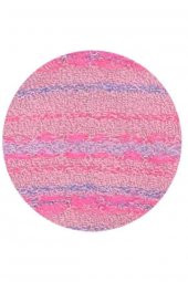 Pamela Kadın Desenli Havlu Patik Çorap - 9