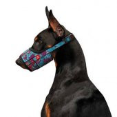 Waudog Collar Summer Model Köpek Ağızlığı 14-20 Cm No:1 - 1