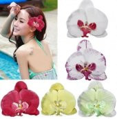 DAY 25 Adet 10 FARKLI Renk Phalaenopsis Orkide Tohumu + 10 Adet HEDİYE K.RENK Lily Çiçeği Tohumu thumbnail 1