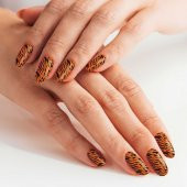 2 Li Renkli Zebra Tırnak Dövmesi, Tırnak Sticker, Nail Tattoo, Nail Art - 1