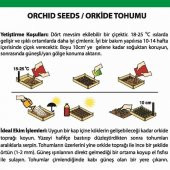 DAY 25 Adet 10 FARKLI Renk Vanda Orkide Tohumu + 10 Adet HEDİYE Gökkuşağı Gül Tohumu - 2