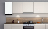 Viessmann Vitodens CONNECT 19/25 KW Tam Yoğuşmalı Kombi (Baca Dahil) - 4