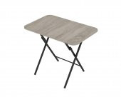 Alesta Life Katlanabilir Masa 60x90 cm - 1