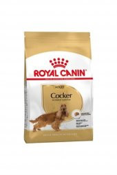 Royal Canin Cocker Irka Özel Yetişkin Köpek Maması 3 kg - 1