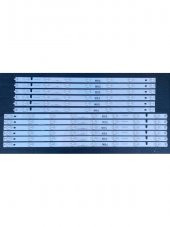 SUNNY SN055LSV59-AMF, AX055LVST59-AMF LED BAR ,  PROFİLO 55PA500T LED BAR thumbnail 1