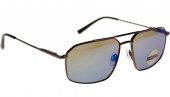 Serengeti Wayne SS546002 Polarize Erkek Güneş Gözlüğü thumbnail 1