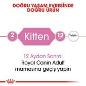 Royal Canin Kitten Yavru Kuru Kedi Maması 10 Kg thumbnail 5