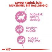 Royal Canin Kitten Yavru Kuru Kedi Maması 10 Kg thumbnail 6