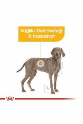 Royal Canin Maxi Dermacomfort Yetişkin Köpek Maması 12 Kg - 4