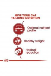 Fit 32 Kedi Kuru Maması 4 kg - 3