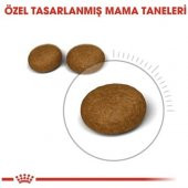 Royal Canin Hair and Skin Care 2 kg Hassas Deri Sahibi Kediler için Mama - 6