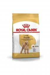 Poodle Adult Köpek Maması 3 kg - 1