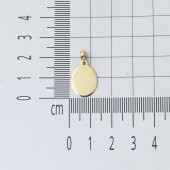 14 Ayar Altın Oval Plaka Kolye thumbnail 5