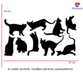 Kedi Sticker Çıkartma Ev Dükkan Tasarımı 9 Parça - 3
