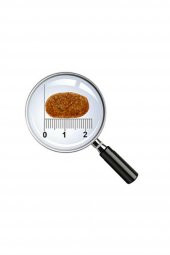 ProChoice Proderma Kuzu Etli Pirinçli Ve Balıklı Yetişkin Köpek Maması 18 Kg thumbnail 2