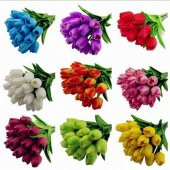 10 Adet 10 FARKLI RENK Mix Tulip Seed Lale Tohumu + 10 Adet Hediye K.Renk Küpe Çiçek Tohumu - 1