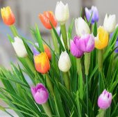 25 Adet 10 FARKLI RENK Mix Tulip Seed Lale Tohumu + 10 Adet Hediye K.Renk Küpe Çiçek Tohumu - 1