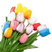 100 Adet 10 FARKLI Mix Tulip Seed Lale Tohumu + 10 Adet Hediye K.Renk Antoryum Çiçek Tohumu - 1