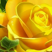 50 Adet Sarı Gül Çiçek Tohumu + 10 Adet Hediye Uyku Çiçeği Tohumu - 1