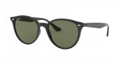 Ray-Ban RB4305 601/9A 53 Polarize Unisex Güneş Gözlüğü thumbnail 1