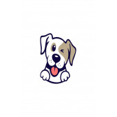 Vebox Easy Pet Wipes Islak Kova Mendil 300 Adet - 2