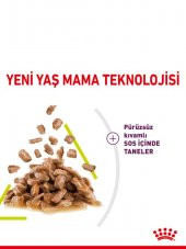 Royal Canin Sensory Smell Gravy 85 Grx12 Adet Kedi Konservesi - 3