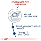 Royal Canin Maxi Adult Büyük Irk Yetişkin Köpek Maması 15kg - 2