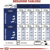Royal Canin Maxi Adult Büyük Irk Yetişkin Köpek Maması 15kg - 4