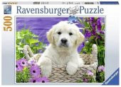 Ravensburger 500 Parça Puzzle Golden Retriever 148295 - 1