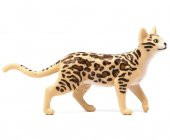 Schleich Bengal Kedisi 13918 - 2