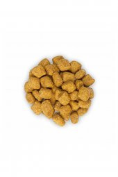 Adult Oral Care Tavuklu Yetişkin Kedi Maması 1,5 kg - 2