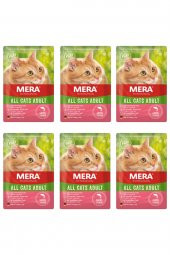 Tahılsız Somon Balıklı Yaş Kedi Maması 85 Gr X 6 Adet / Pouch Konserve - 1