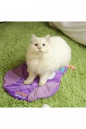 7326 Kedi Oyun Minderi Catnipli thumbnail 2